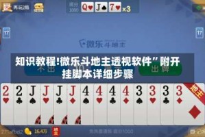 知识教程!微乐斗地主透视软件”附开挂脚本详细步骤