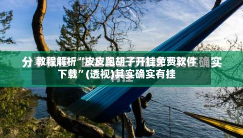 教程解析“皮皮跑胡子开挂免费软件下载”(透视)其实确实有挂-第1张图片