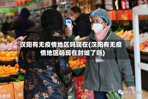 汉阳有无疫情地区吗现在(汉阳有无疫情地区吗现在封城了吗)-第1张图片